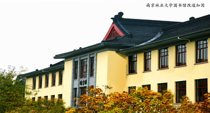 南京林業(yè)大學(xué)圖書(shū)館改造加固